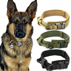 Dog Collar.