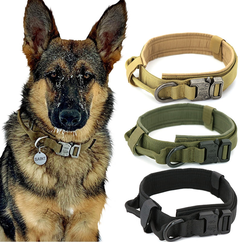 Dog Collar.