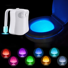 Toilet Night Light.