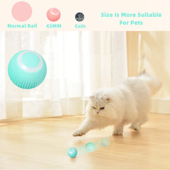 Smart Cat Ball Toys.