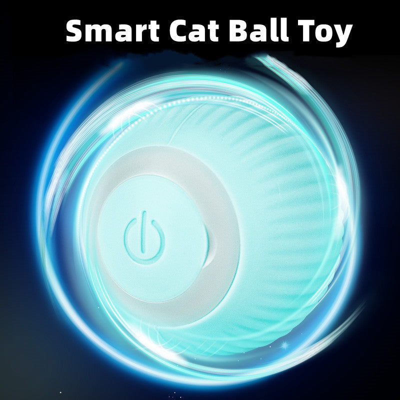 Smart Cat Ball Toys.